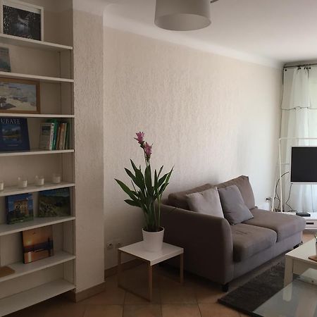 칸느 Immeuble Le St Honorat 아파트 외부 사진